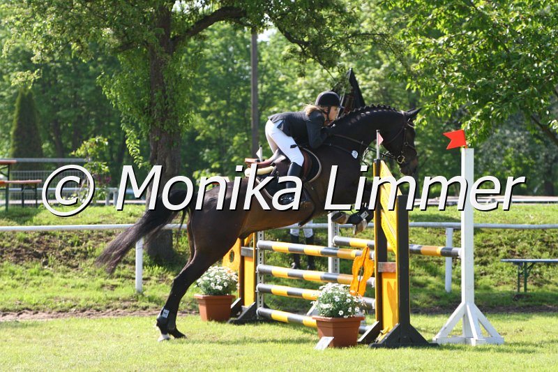 005M4278_Emilio_Stil A.JPG